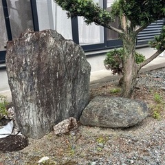 庭石