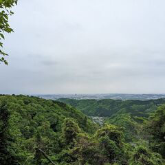 初夏の自然とかき氷～初級者向けトレイルラン！ in 高尾山 0616