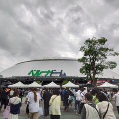 埼玉西武ライオンズファン募集