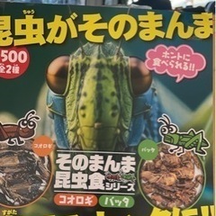 食品