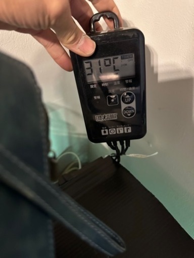 爬虫類用品