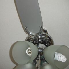 シーリングライト　やや古いの画像