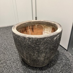 生活雑貨 家庭用品 ガーデニング　鉢
の画像