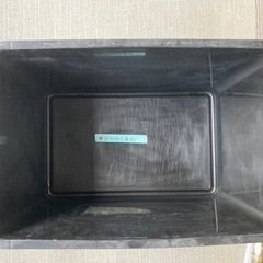 【6/23まで掲載】メダカ飼育用容器の画像