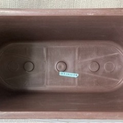 【6/23まで掲載】メダカ飼育用容器の画像
