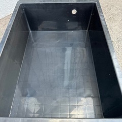 NVボックスメダカなどの飼育容器に