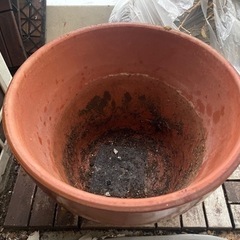 11号　植木鉢　0円の画像