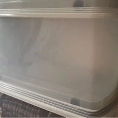 引き取り先見つかりました。