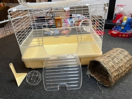 家具 収納家具 棚、シェルフ