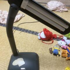 家具 照明器具