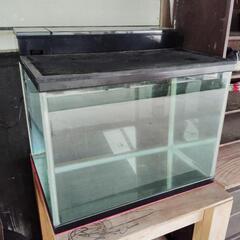 【美品】60cmワイド水槽フィルター付き