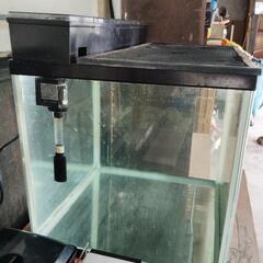 【美品】60cmワイド水槽フィルター付きの画像