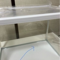 【水槽】⭐︎の画像