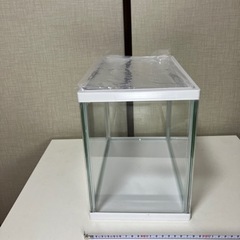 【水槽】⭐︎の画像
