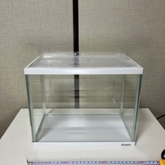 【水槽】⭐︎