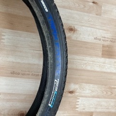 ファットバイク　タイヤ　
29er   29x3.0　　　　　の画像