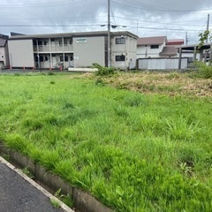 ‼️見積もり無料‼️草刈り承ります　安心安全の実績