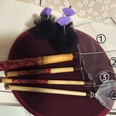 メダカ  各種タモ【オーダー品】