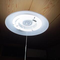 家具 照明器具