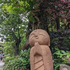 6月の火曜日に鎌倉寺巡りをしませんか？