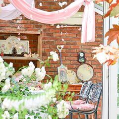 撮影会☆写カフェ会 〜 カメラ仲間、募集します　初心者限定、女性限定