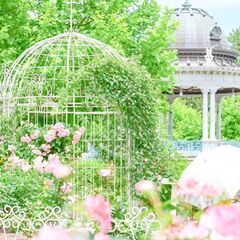 撮影会☆写カフェ会 〜 カメラ仲間、募集します　初心者限定、女性限定 − 愛知県