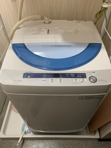 家電 生活家電 洗濯機