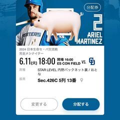2024年　6月11日　セ・パ交流戦　中日ドラゴンズ　日本ハムフ...
