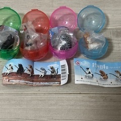 釣り日和ねこ　4コセット　トイカプセル　ガチャ