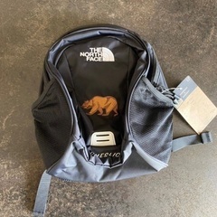 ノースフェイスリュック✨新品8L