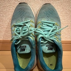 Nike Air Zoom Pegasus 33 831356-...