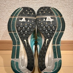 Nike Air Zoom Pegasus 33 831356-313 ランニングシューズ グリーン ティール ネオンの画像