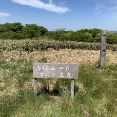 登山仲間１名募集