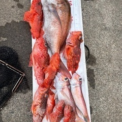 レンタルボートでワイワイ海釣りしたい方いませんか？初心者の方、釣りデビューしたい方、経験者の方、大歓迎です。 - 友達