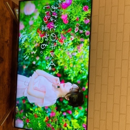 ソニー BRAVIA kj-49x9000f