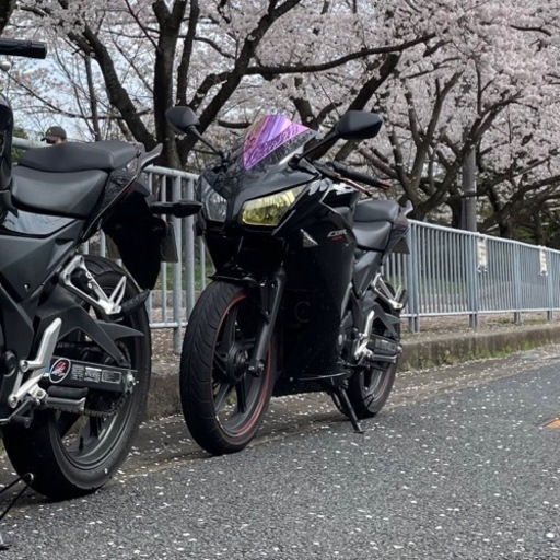 CBR250R  mc41後期