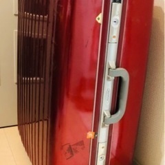 polyanthaスーツケース　の画像