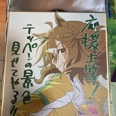 映画ウマ娘新時代の扉 特典色紙 ジャングルポケットの画像