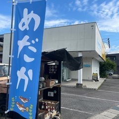 【上原メダカ】大量！出品‼️
