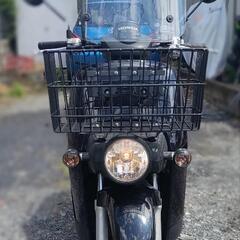 ホンダ ベンリィ50  AA03
