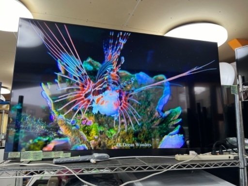 （ジ12）SALE‼️￥88000(税込)Toshiba REGZA 55インチ 液晶テレビ 55Z870L 4Kチューナー内蔵 外付けHDD 裏番組録画 スマートテレビ (2022年製)