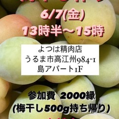 梅干し作りやります！