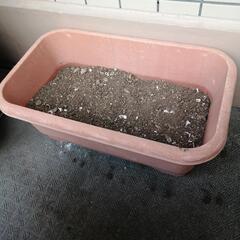 【予約済】園芸用プランター3個＋じょうろ６L