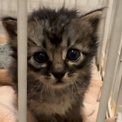 生後１ヶ月男の子