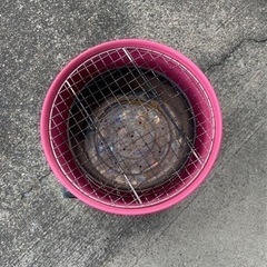 BBQコンロの画像