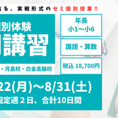 【RISU塾本駒込校】セミ個別指導型夏期講習