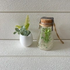 人口植物　オブジェ　２個セット