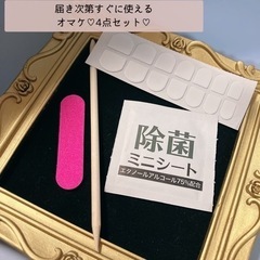 夏×ニュアンス　ネイルチップの画像
