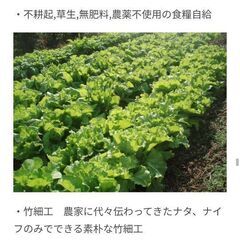 自給自足スクールの画像