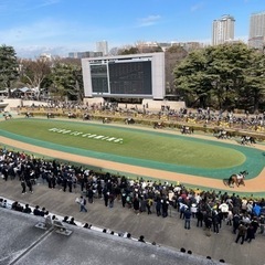 競馬好きな仲間募集